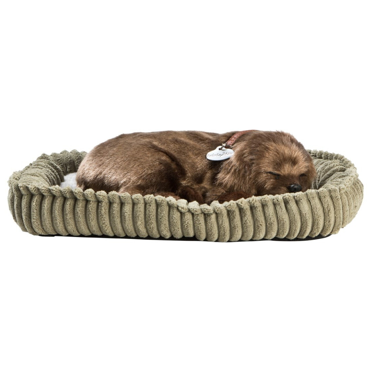 Labrador