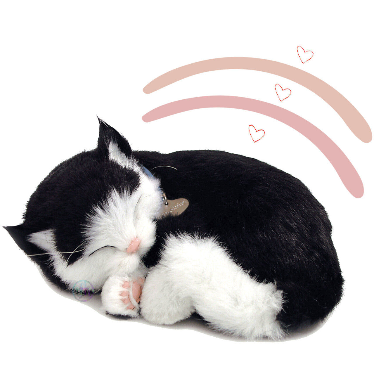 Katze schnurrend
