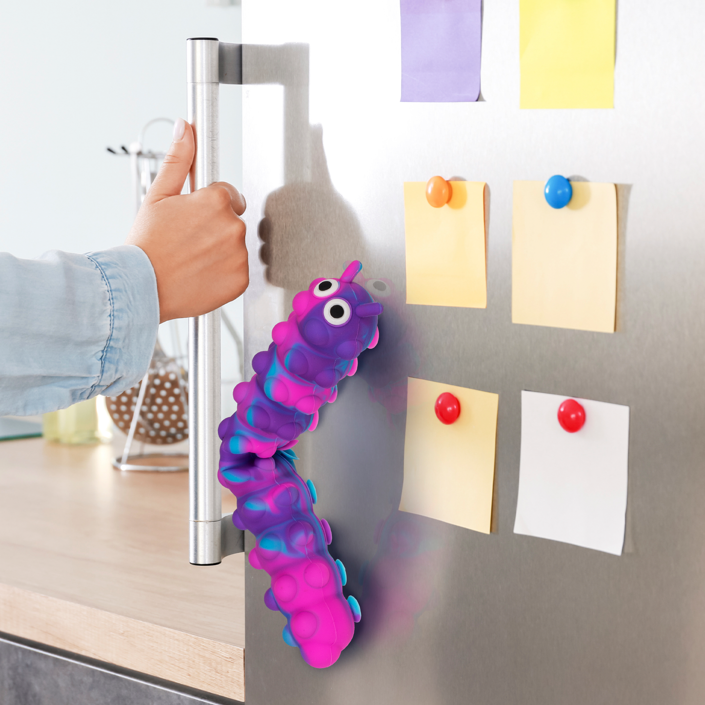 Raupe klebt am Kühlschrank