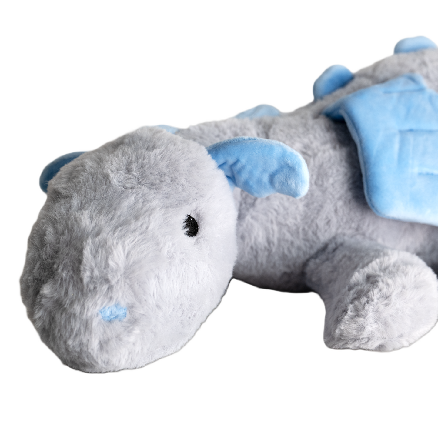 Nahaufnahme Gesicht Drache