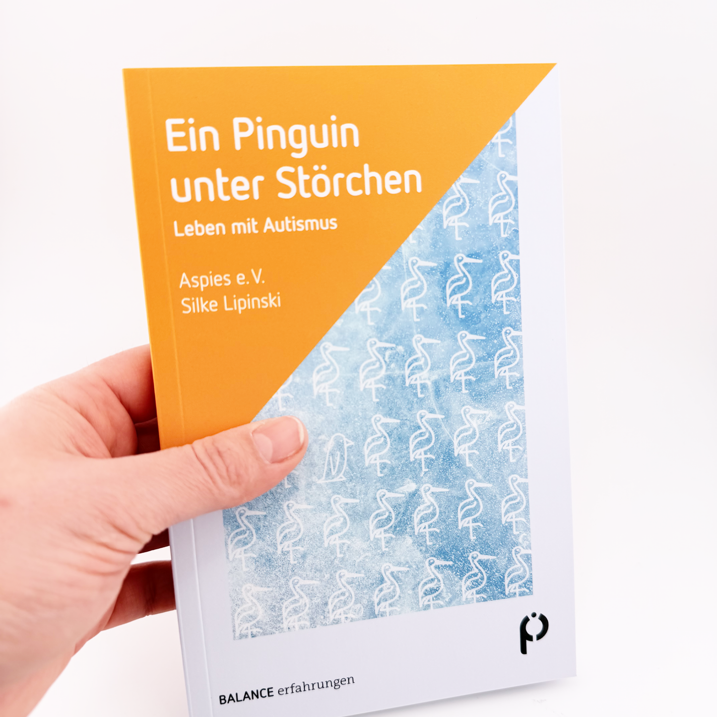 Buch Cover