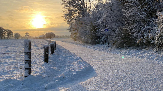 🎄 Wie gelingt eine entspannte Weihnachtszeit mit neurodivergenten Kindern?