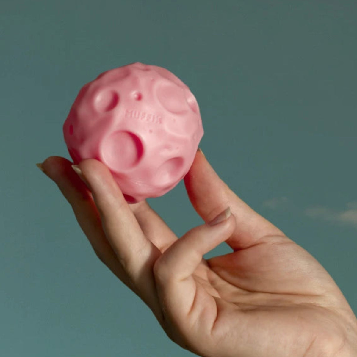 rosa Meteor in Hand