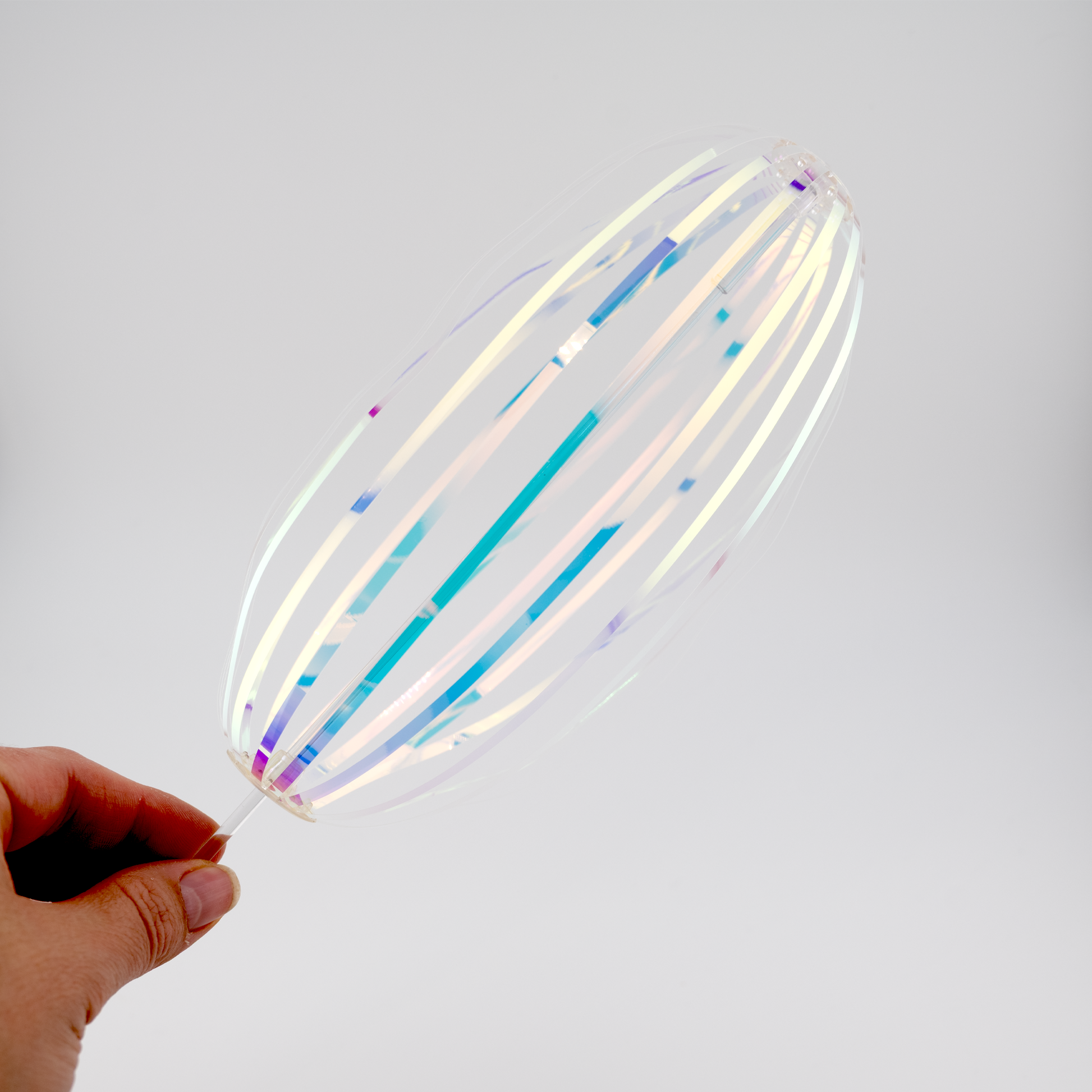 Faszinationsspindel Nahaufnahme