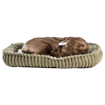 Labrador