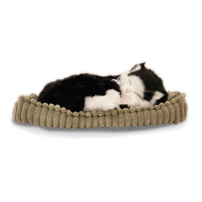 Katze schwarz weiß