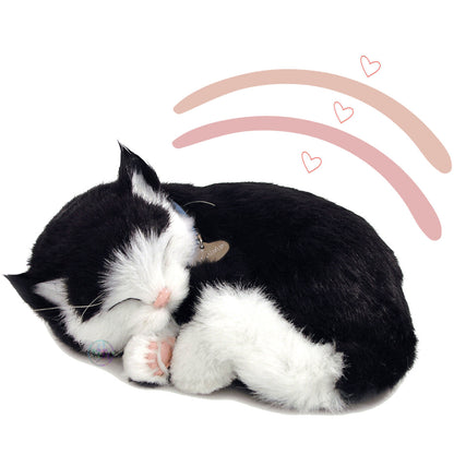 Katze schnurrend