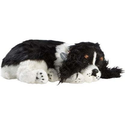 Cocker Spaniel
