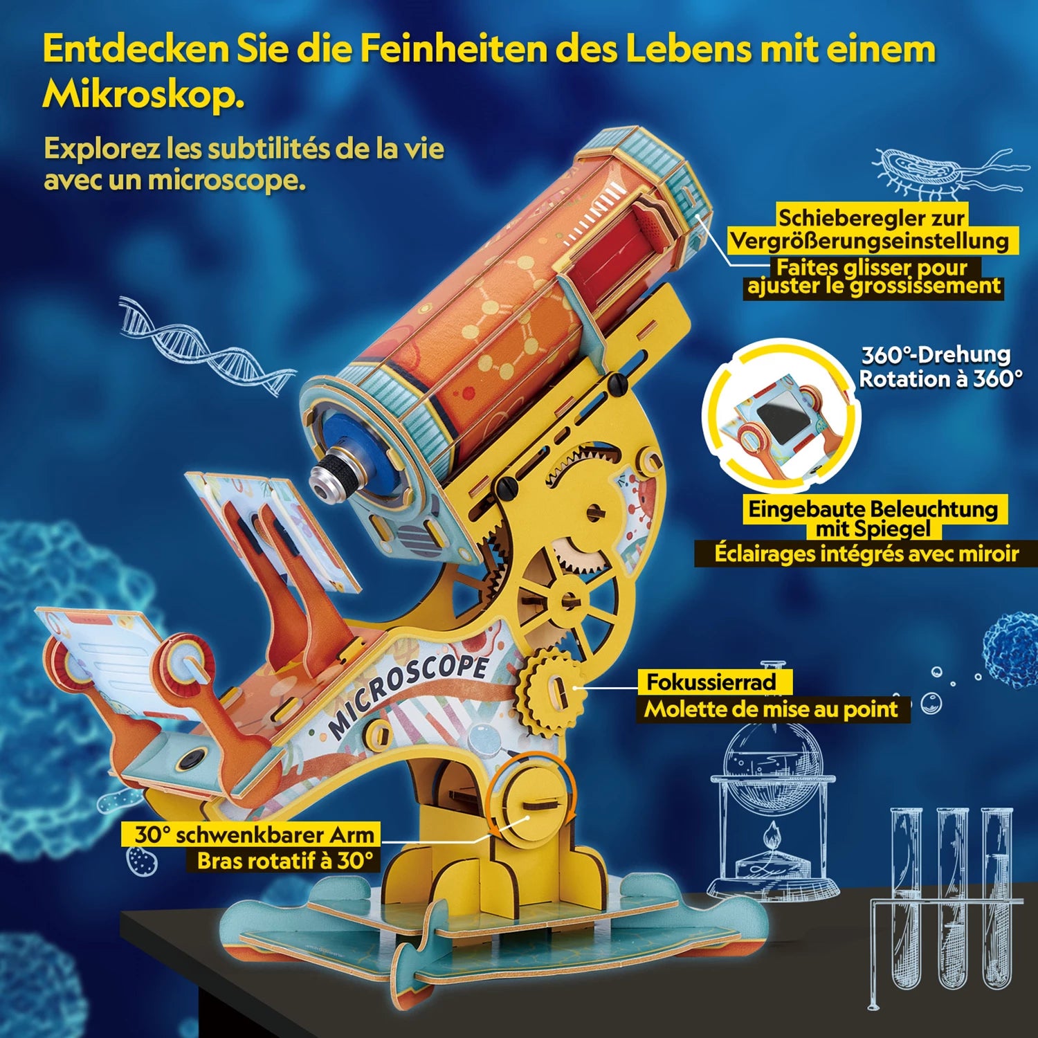 Beschreibung am Microskop
