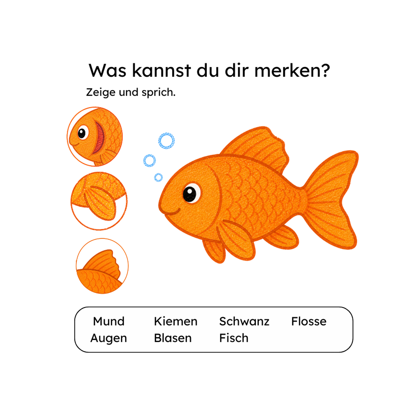 Innenseite Fisch