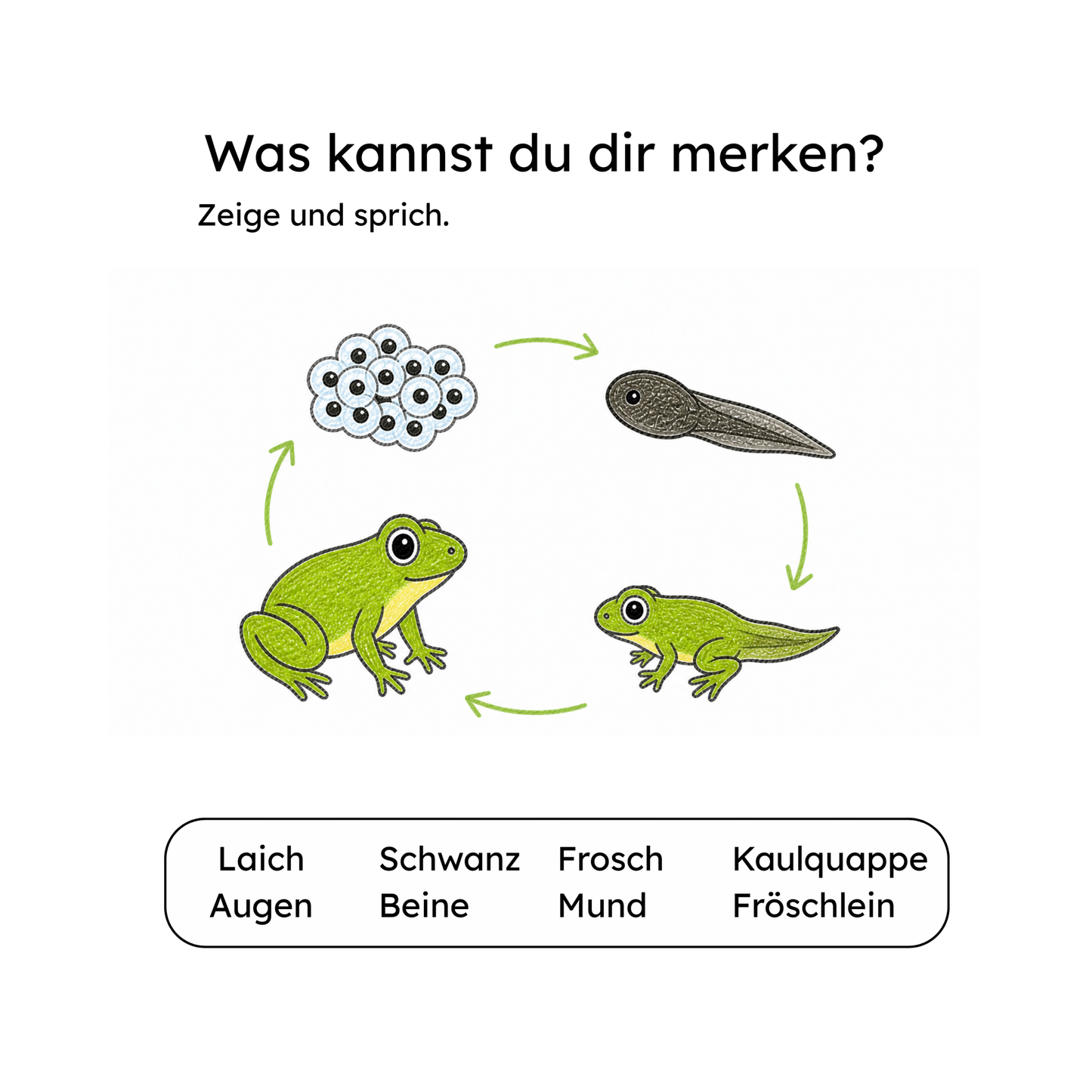 Innenseite Frosch