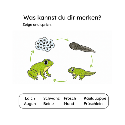 Innenseite Frosch