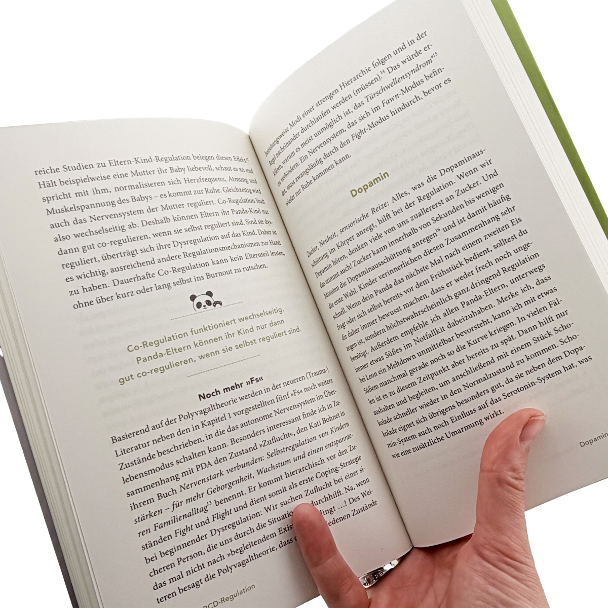 Buch in der Hand aufgeschlagen