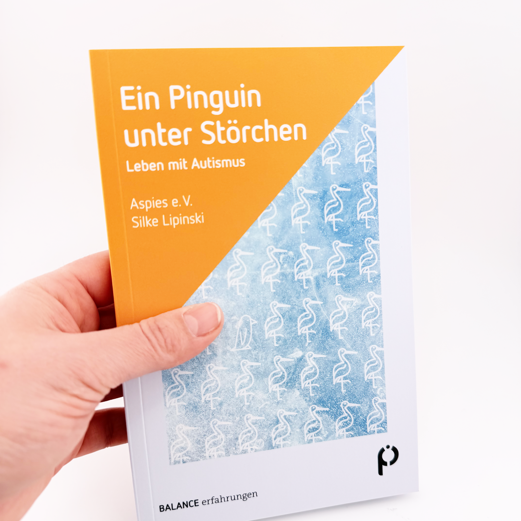 Buch Cover