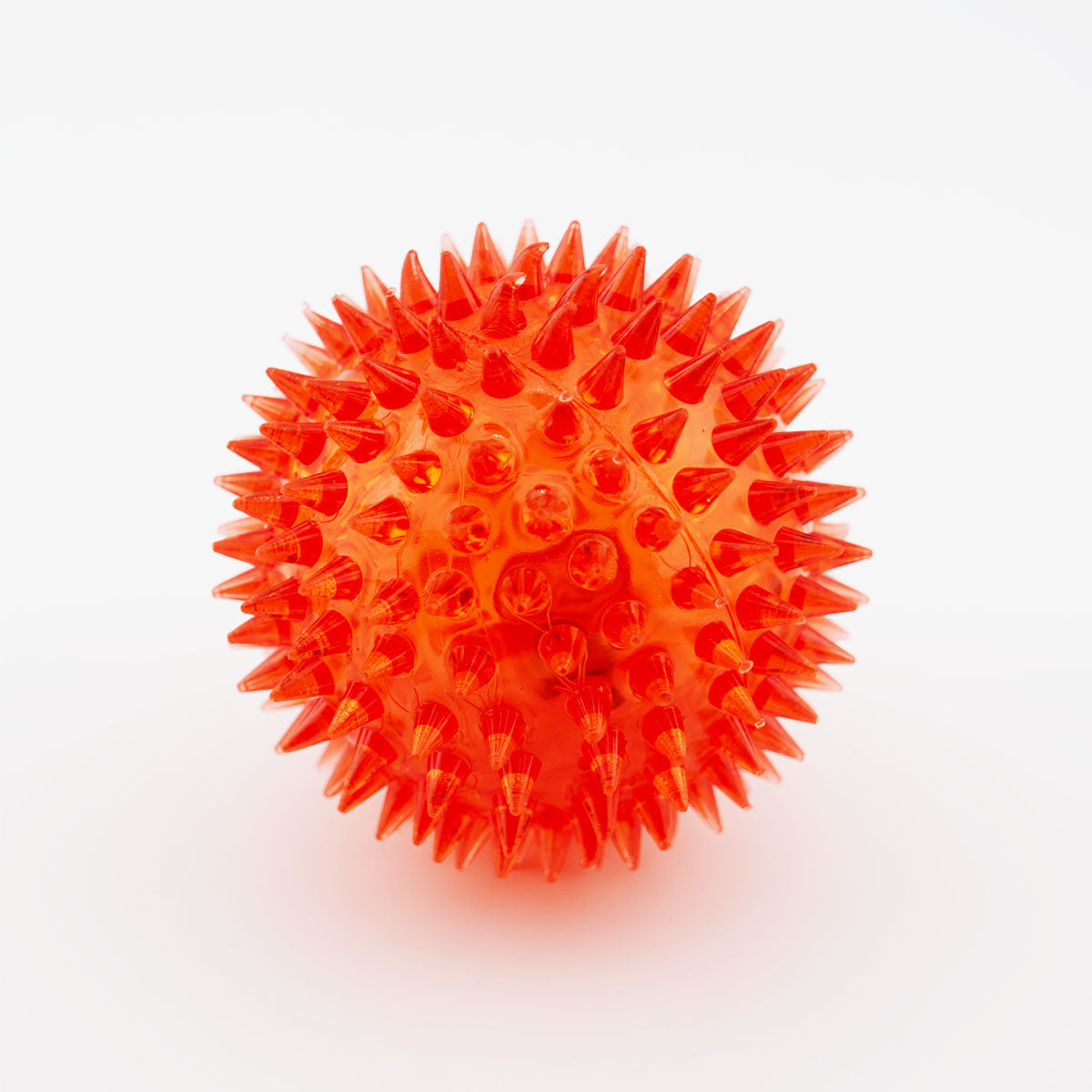 Igelball rot