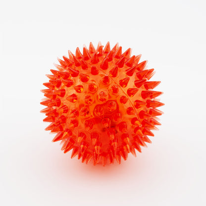 Igelball rot